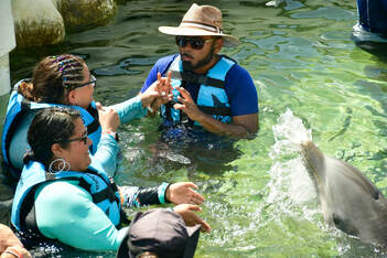 Jerrin, an Indian Deaf sighted Nonbinary person with a short black beard, is in a body of water with Yash, Maria, and Ruby, the dolphin, on a sunny day. Jerrin is wearing a tan straw hat, black sunglasses, and a blue vest. Yash, a DeafBlind Queer Latina, with brown hair pulled back into a bun with half rows of twists held by colored rubber bands, is wearing dark blue glasses, a blue long sleeve shirt, and a blue vest. Maria, a Deaf sighted Latina, with black hair pulled back into a bun, is wearing black glasses, a teal shirt with Aztec patterned sleeves, and a blue vest. Jerrin is signing tactically into Yash's hand. Yash is smiling and holding onto her vest with her other hand. Maria is greeting Ruby who is splashing water at her.